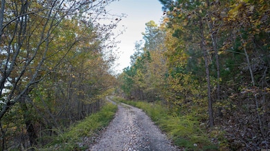 CR185 Camilla Springs, Glenwood, AR 71943 - photo 2