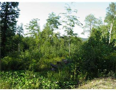 Land/Lot. View of the 5 ac lot north...