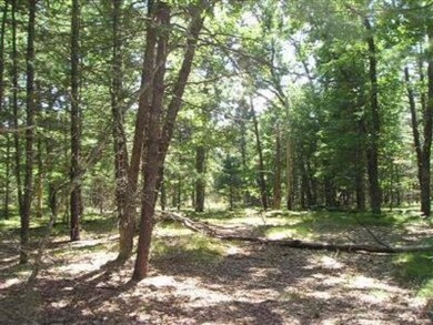 0 Fern unit 14009166, Baldwin, MI 49304 - photo 2