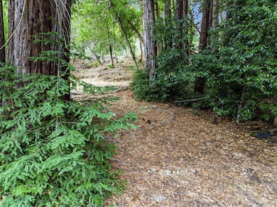 12 Montecito Rd, Woodside, CA 94062 - photo 2