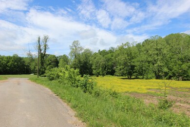 144 Hurricane Creek Dr, Tennessee Ridge, TN 37178 - photo 5