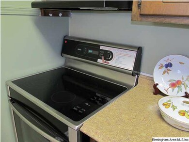 Boshe Stove with touch top controls, built in term