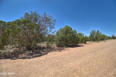 1916 Daggs Cir, Show Low, AZ 85901 - photo 3