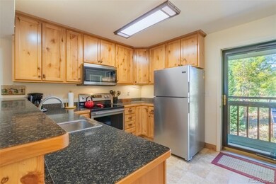 170 Tall Pine Cir unit 12D, Grand Lake, CO 80447 - photo 4