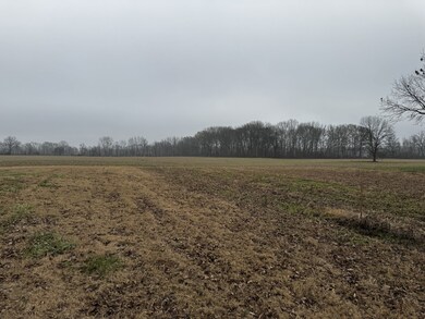 0 Lightfoot Luckett Rd, Ripley, TN 38063 - photo 4