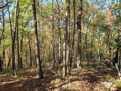 Tracts 2A & 2B Rabbit Skin Rd, Waynesville, NC 28785 - photo 6