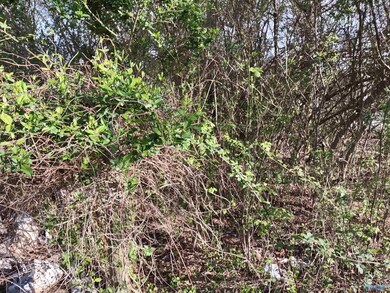 74 Lemons Rd, Grant, AL 35747 - photo 2