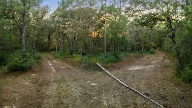 17453 Shop Branch Rd, Huntington, TX 75949 - photo 4