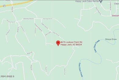 4675 Lookout Point Rd unit 117, Happy Jack, AZ 86024 - photo 3