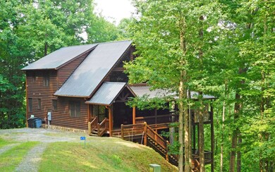 670 Toccoa Preserve Ln, Blue Ridge, GA 30513 - photo 3