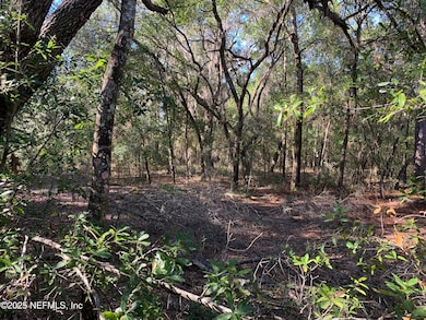 Graves II - 000 Drayton Ave