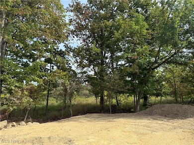 S/L 27 Devon Path, Medina, OH 44256 - photo 4