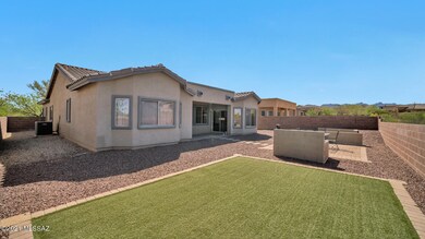 Backyard turf