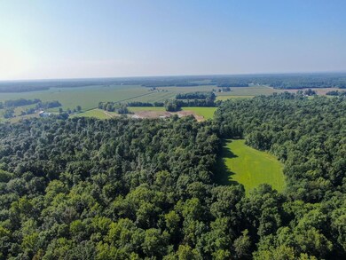 7565 S County Rd 800 W, Paris Crossing, IN 47270 - photo 3