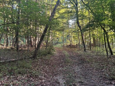 11500 Goose Lake Rd, Jonesville, MI 49250 - photo 7