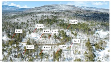 L92 Highview Ln unit Lot 8, Wevertown, NY 12886 - photo 2