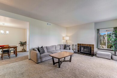 29-web-or-mls-CAM25151