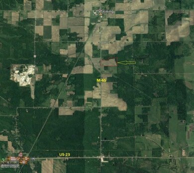 130 N Hale Rd, Twining, MI 48766 - photo 2