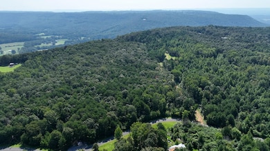 0 Cliff Springs Rd unit 24577101, Oneonta, AL 35121 - photo 7