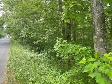 218 Old Center St, Middleborough, MA 02346 - photo 5