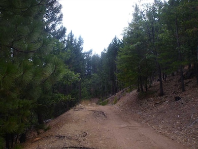 0000 S Kidder Creek Rd, Greenview, CA 96037 - photo 4