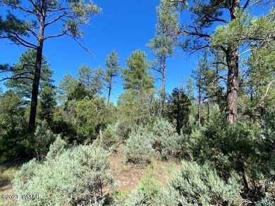 Ponderosa Pines