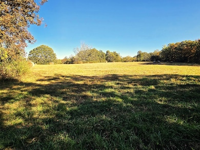 1978 Old Highway 60, Birch Tree, MO 65438 - photo 2