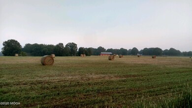 2315 Dennis Rd, Macon, GA 31220 - photo 2