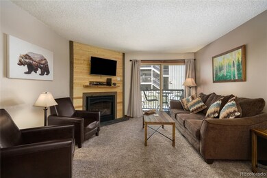 1565 Shadow Run Frontage unit 209, Steamboat Springs, CO 80487 - photo 4