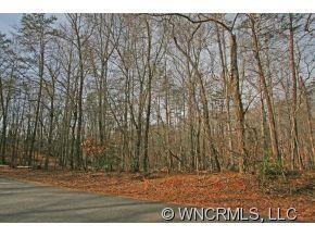 Lot 37 Wolf River Ln unit 37, Lake Lure, NC 28746 - photo 2