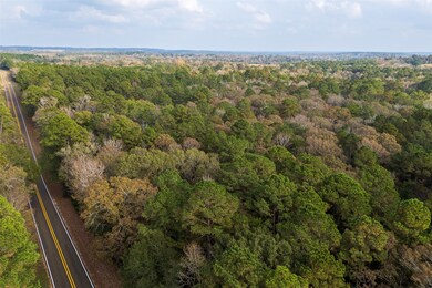 00 Farm To Market Road 228, Grapeland, TX 75844 - photo 6