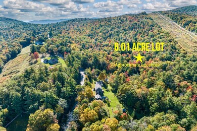 0 Murray Hill Rd unit 5-1, Hill, NH 03243 - photo 3