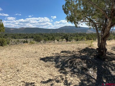 TBD Buckhorn Rd, Montrose, CO 81403 - photo 4