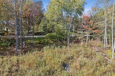 mls_DJI_20251009115448_0495_D