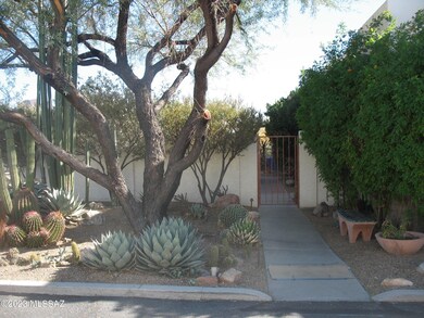 6140 Red Sky Front Yard 2