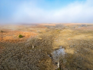 S County Rd 170, Shattuck, OK 73858 - photo 5