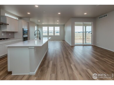 KITCHEN, DINING AND LIVING ROOM, OPEN FLOOR PLAN
