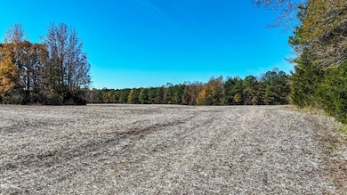 5666 Longview Dr, Kenbridge, VA 23944 - photo 6