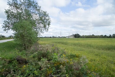 0 Imhof County Rd, Other, TX 77447 - photo 6