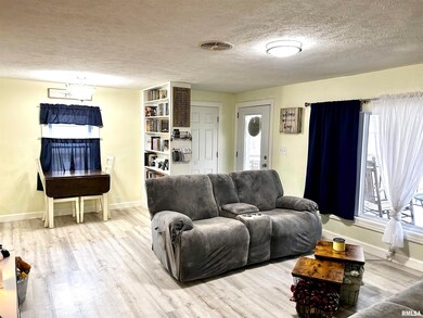 102 Yosemite Ave, Lincoln, IL 62656 - photo 4