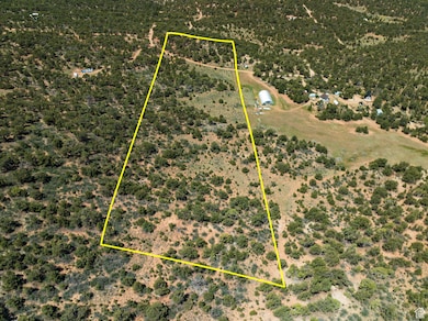 Drone Views of the Property