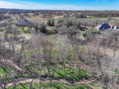 220 Falcon Dr, Weatherford, TX 76088 - photo 4