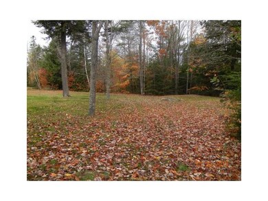 Yard/Garden.