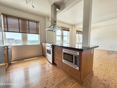 308 E Pearl St unit 904, Jackson, MS 39201 - photo 2