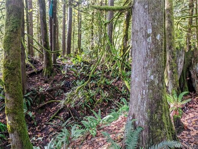 621 Index Ave, Index, WA 98256 - photo 6