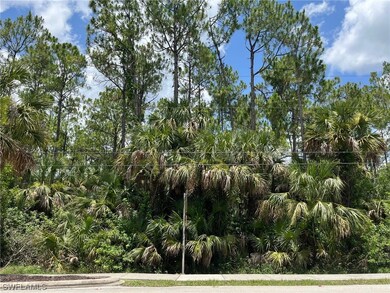 0 13th St SW unit 223047147, Naples, FL 34117 - photo 2