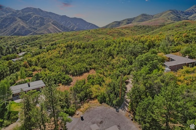 Aerial view of property and surrounding area with a mountain backdrop and a forest
