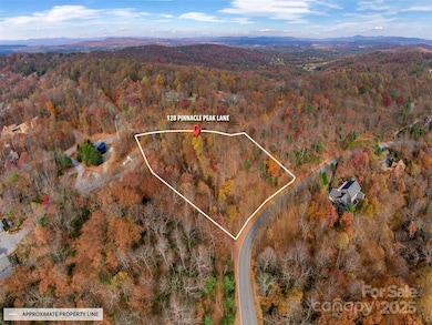 128 Pinnacle Peak Ln, Flat Rock, NC 28731 - photo 2