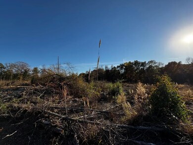 5 Gatewood Rd, Pittsview, AL 36871 - photo 7