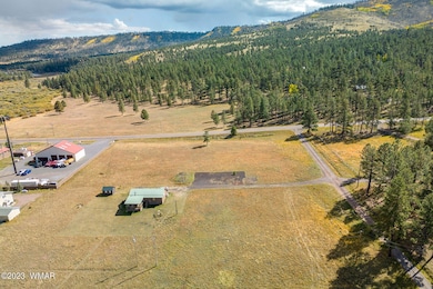 21 N1014, Greer, AZ 85927 - photo 3
